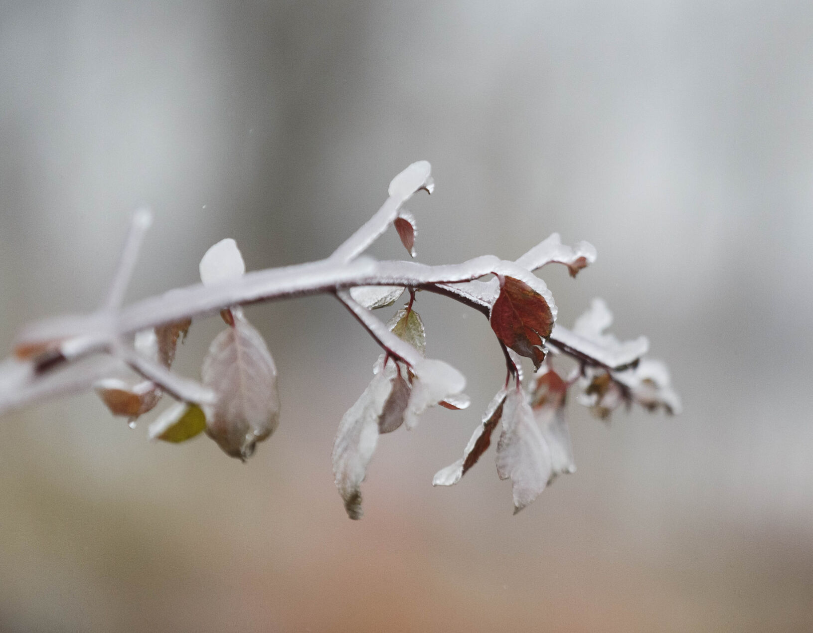 Ice in Tulsa